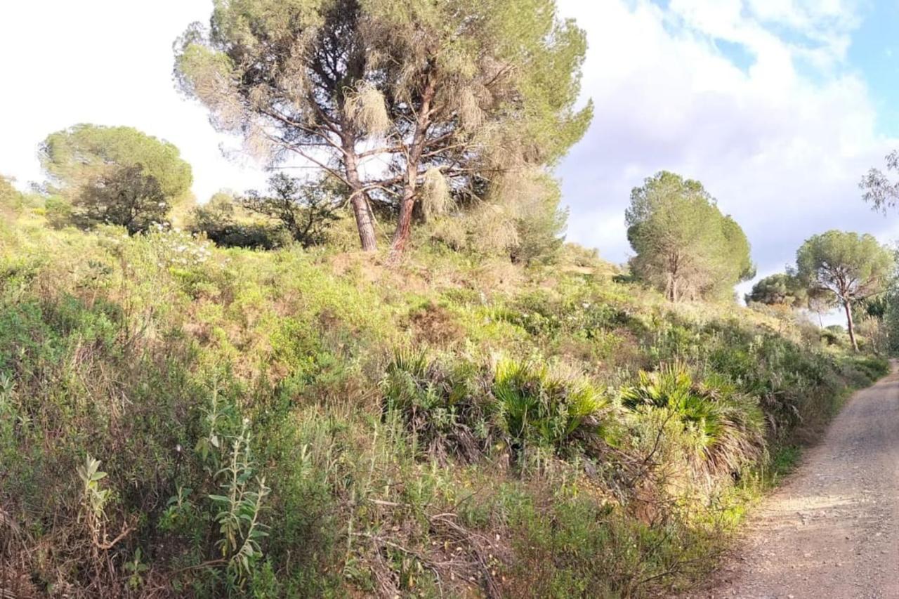 Finca Riodiel Gibraleón Екстериор снимка